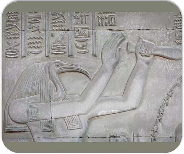 Thot, Kom Ombo Temple (relief)