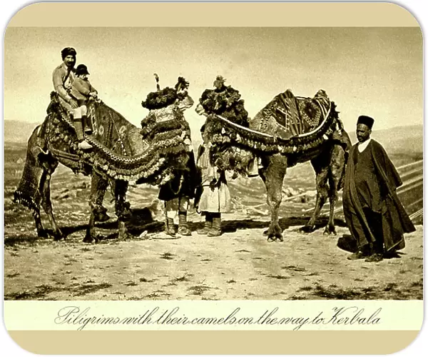 Iraq - Pilgrims to Kerbala with Camels