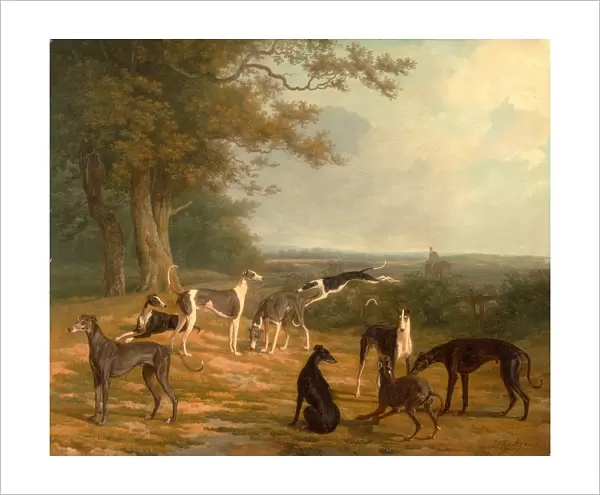 Nine Greyhounds in a Landscape Signed, lower right: J