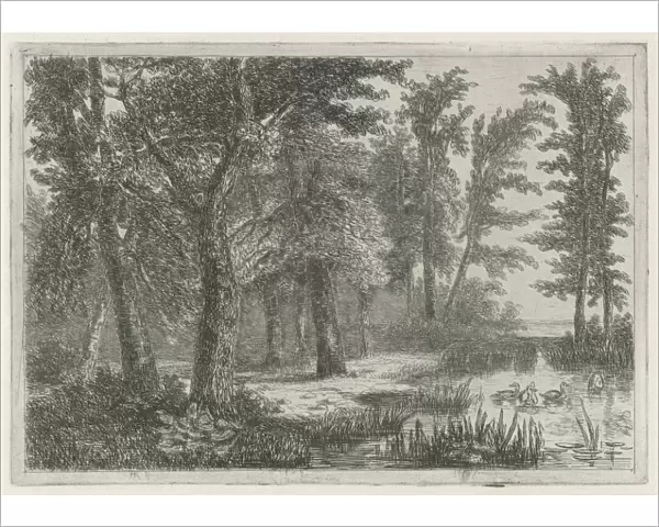 forest scene with a natural pond with ducks, print maker: Hermanus Jan Hendrik van