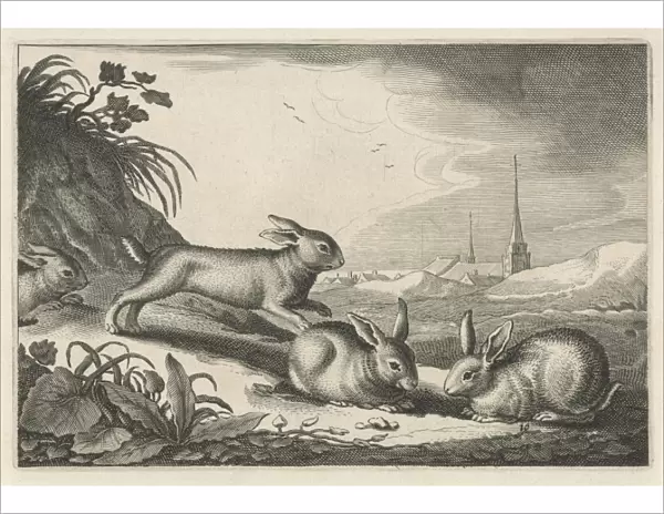 Dune landscape with rabbits, Reinier van Persijn, Jacob Gerritsz Cuyp, Nicolaes Visscher
