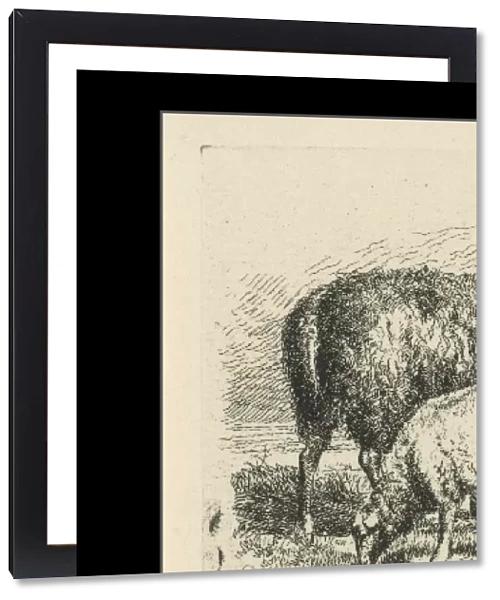Black Sheep with lamb, Dirk van Lokhorst, 1828 - 1893