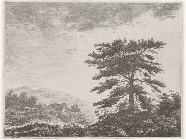 Tree in a moorland, Christiaan Wilhelmus Moorrees, 1811-1867