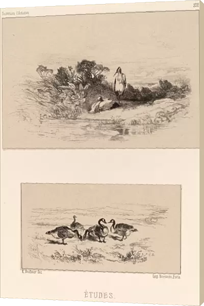 Karl Bodmer, Etudes, Swiss, 1809 - 1893, lithograph