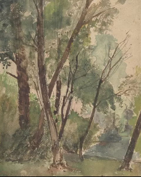 Trees Beside Pond 1820-78 Watercolor graphite