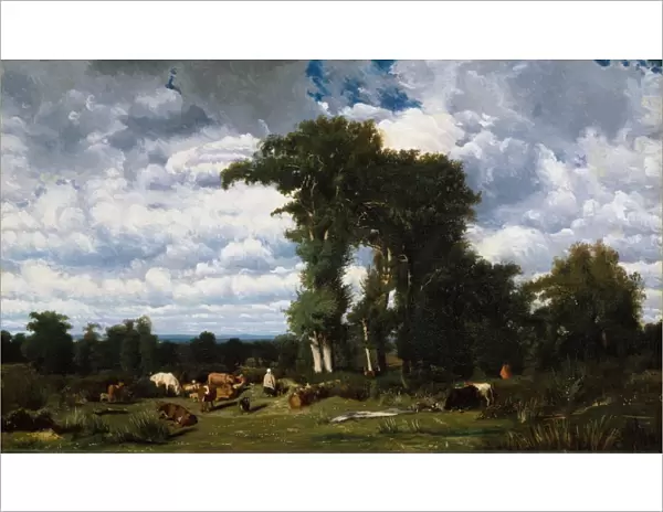 Landscape Cattle Limousin 1837 Oil canvas 31 x 51 1  /  2