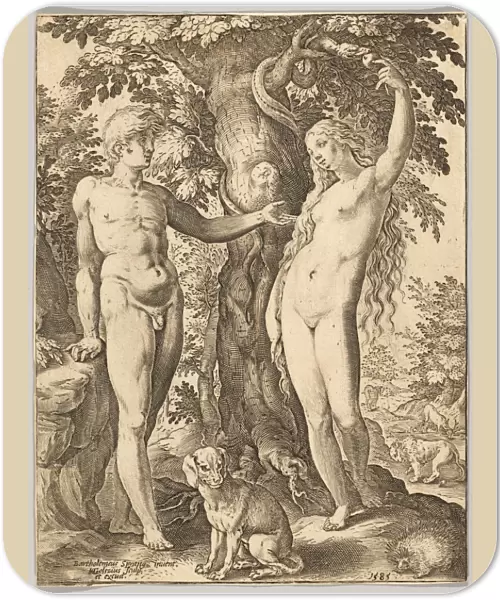 Drawings Prints, Print, Adam, Eve, Artist, Hendrick Goltzius, Bartholomeus Spranger
