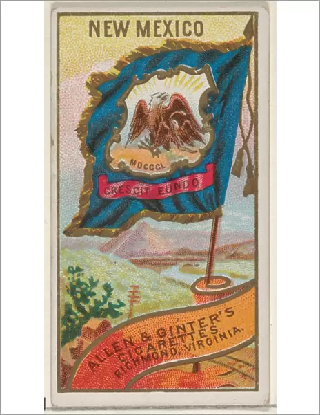 New Mexico Flags States Territories N11 Allen & Ginter Cigarettes Brands