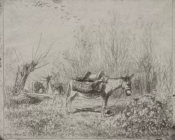 Donkey Field original impression 1862 printed