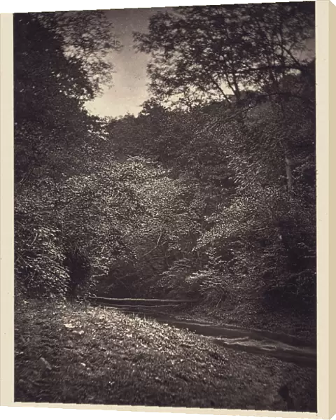 Forest scene Arthur Brown British active 1850s