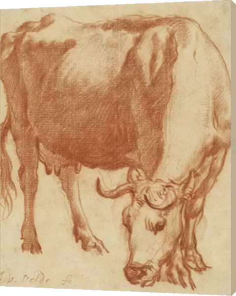 Cow Grazing Adriaen van de Velde Dutch 1636 1672