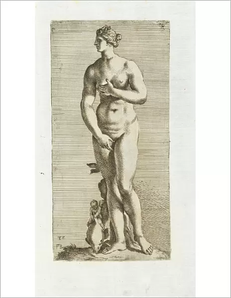 Venus Aphroditis Hortis Mediceis Segmenta nobilium