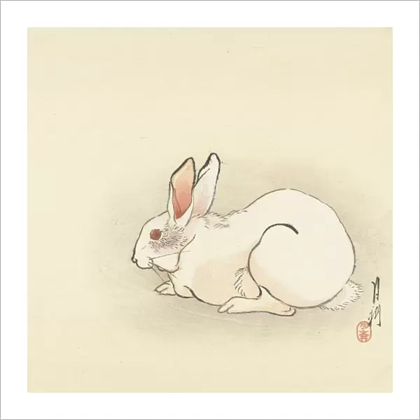 White rabbit Ogata GekkA┼¢ mentioned object Japan