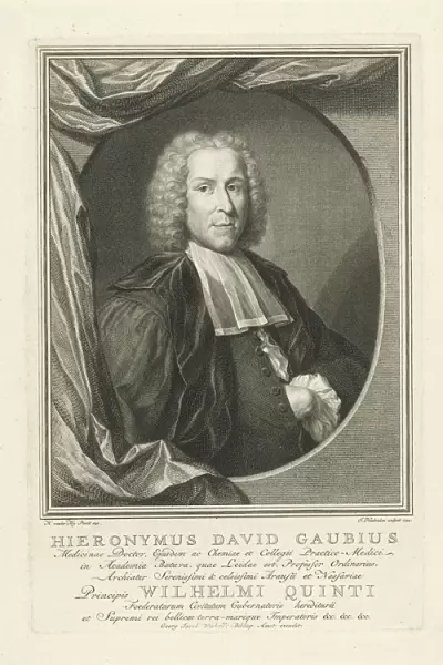Portrait Hieronymus David Gaubius Hieronymus David Gaubius