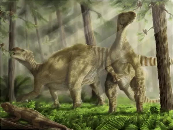 A pair of Iguanodon bernissartensis grazing