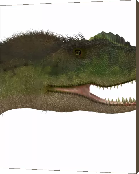 Rugops dinosaur head