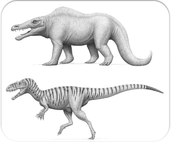 Artists concept of Megalosaurus bucklandii, past and present
