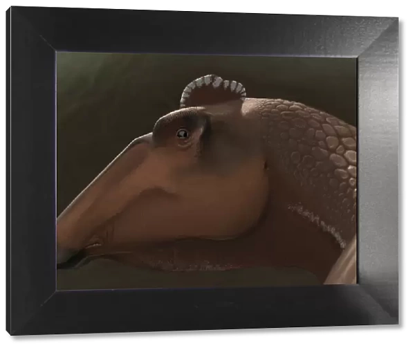 Edmontosaurus regalis dinosaur portrait