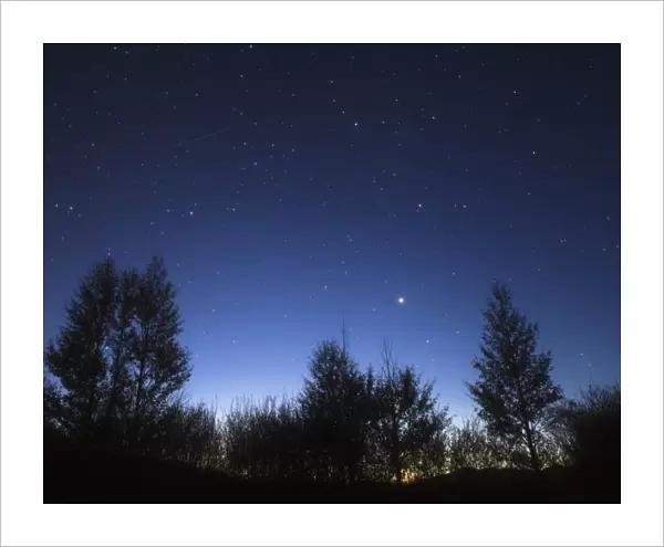 Stars Corona Borealis and Arcturus shining above the trees as twilight fades to darkness