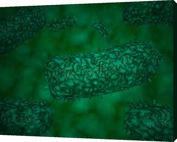 Stylized rabies virus particles