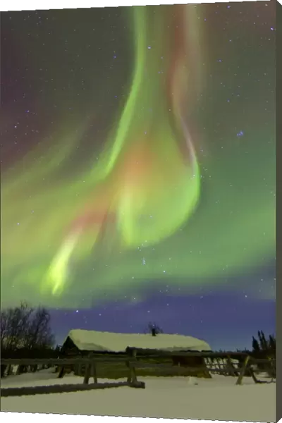 Aurora borealis and Orions Belt above a log cabin at Whitehorse, Yukon, Canada