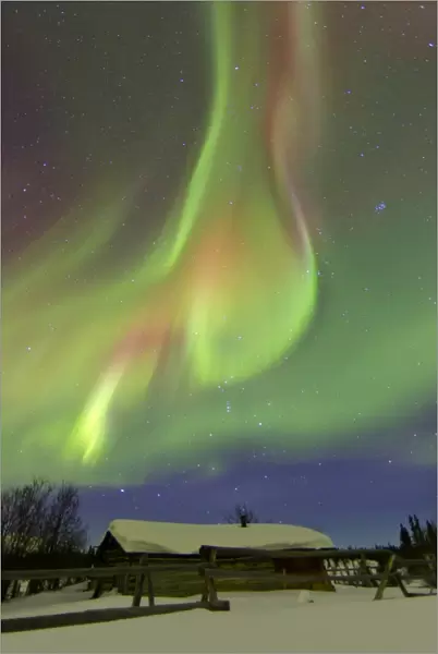 Aurora borealis and Orions Belt above a log cabin at Whitehorse, Yukon, Canada