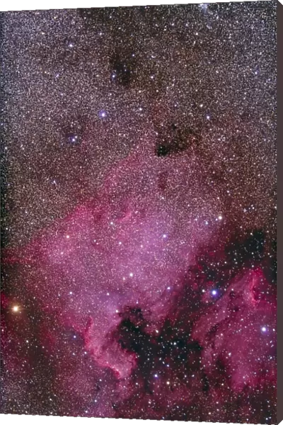 NGC 7000 and the Pelican Nebula
