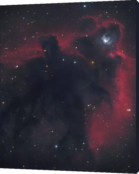 L1622, cometary globule in Orion
