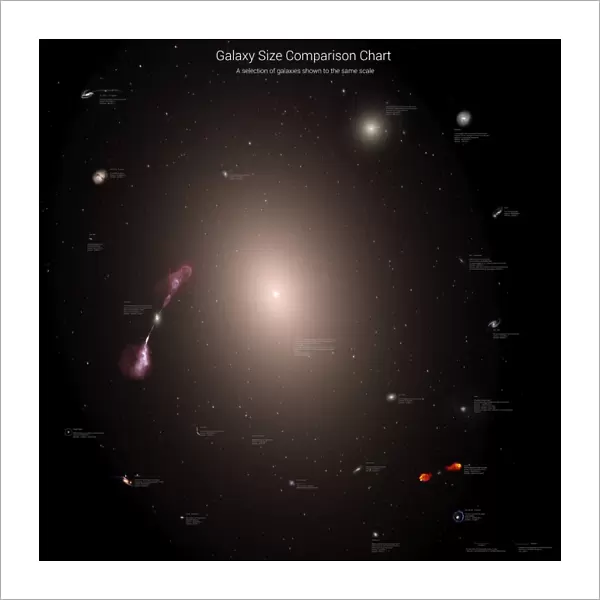 A selection of galaxies shown to the same scale
