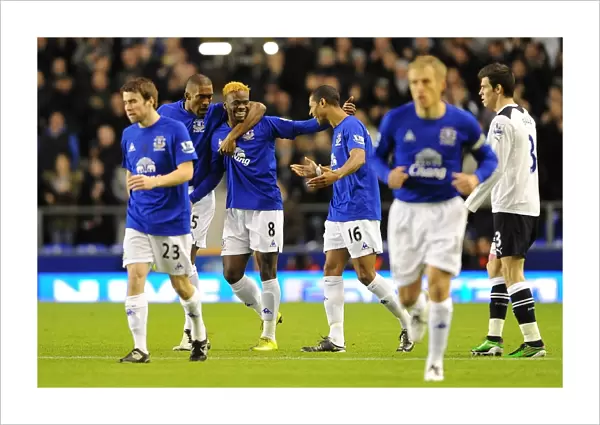 Everton's Louis Saha Scores Thrilling First Goal Against Tottenham Hotspur at Goodison Park (January 2011, Premier League)