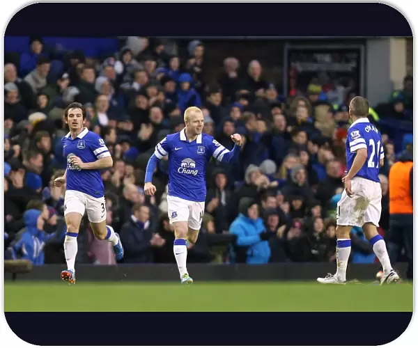 Steven Naismith's Stunner: Everton's First Goal in BPL Win Against Aston Villa (01-02-2014)
