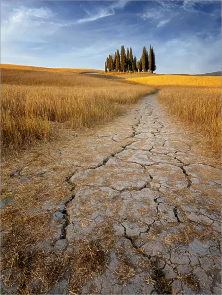 Path of cracks