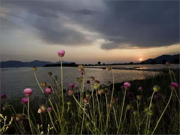 Neretva river delta at sunset, eastern coast of the Adriatic sea, Dalmatia region