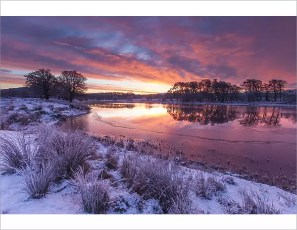 River Spey on winters dawn, Cairngorms National Park, Scotland, UK. January