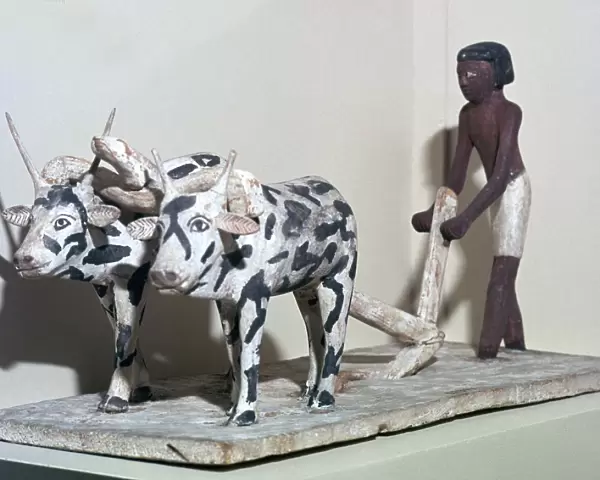 Wooden model of a man ploughing with oxen, from Egypt, Middle Kingdom, c2040-1750 BC