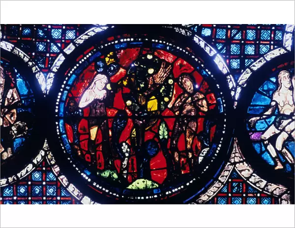 Adam and Eve (The Fall of Man), stained glass, Chartres Cathedral, France, 1194-1260