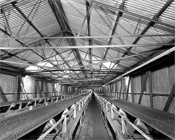 Triple conveyors at Manvers Main coal preparation plant, Wath upon Dearne, South Yorkshire, 1956