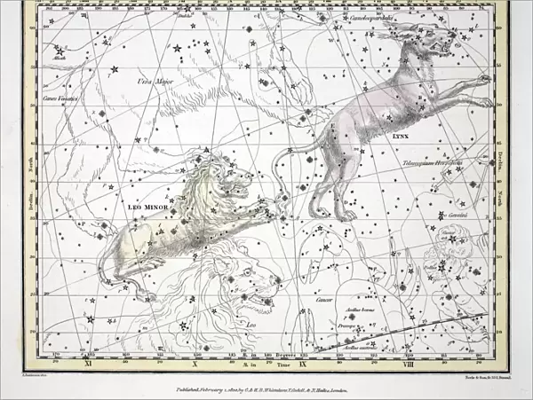The Constellations (Plate V) Lynx, Leo Minor, 1822