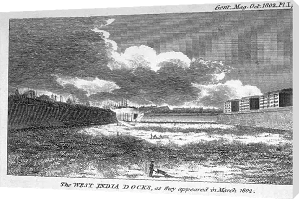 View of West India Docks, Poplar, London, 1802