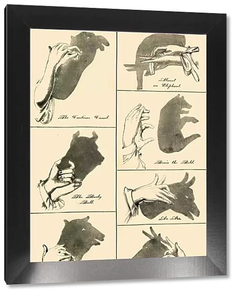 Shadow Pictures and Silhouettes, 1883. Creator: Unknown