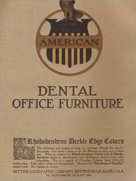 American Dental Office Furniture - Rhododendron Deckle Cage Covers, 1909. Creators: Unknown