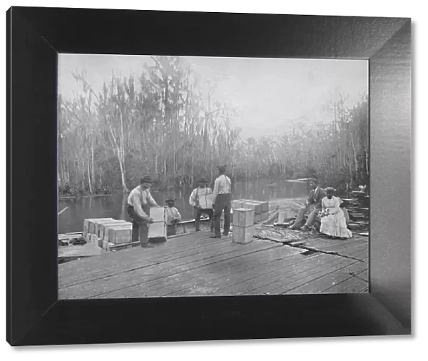 Loading Oranges on the Ocklawaha River, Florida, c1897. Creator: Unknown