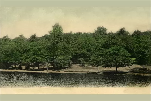 Queensmere, Wimbledon Common, London, 1903. Creator: Unknown