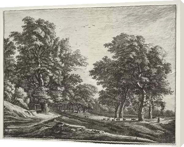 Six view in the wood of the Hague: Goats Under the Trees. Creator: Roelant Roghman (Dutch