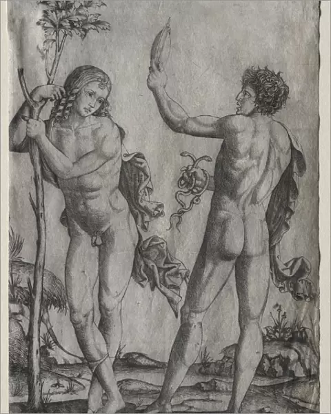 Two Nude Men Beside a Tree. Creator: Marcantonio Raimondi (Italian, 1470  /  82-1527  /  34)
