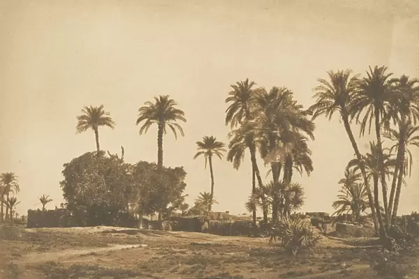 Vue du Village de Hamarneh, pres de Denderah (Rive droite), 1849-50