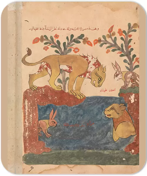 The Hare, the Lion, and the Well, Folio from a Kalila wa Dimna, 18th century