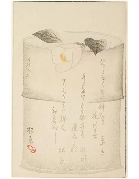 Camellia, 1870. Creator: Shokyo
