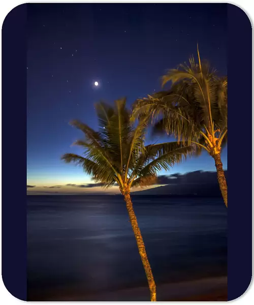 Moon And Stars In The Night Sky With Palm Trees Along The Coast In The Foreground; Maui, Hawaii, United States Of America