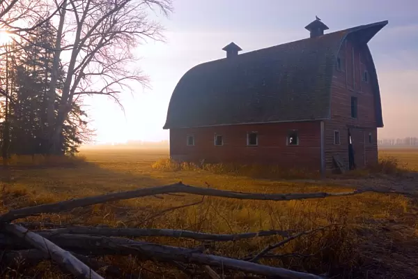 A Barn Sits In Morning Mist